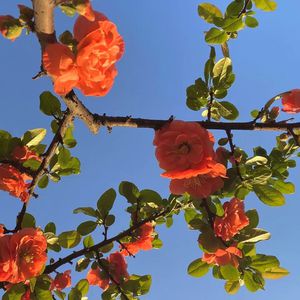 美女写真福利视频
